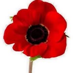 Annie Britton - Facebook