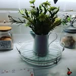 anniesantics_24 - @annie.britton - Instagram