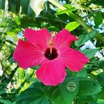Annie Bryan - @annie.bryan.7796420 - Instagram