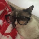 Anne Burden - @anne.burden - Instagram