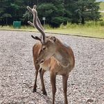 Annie Burden - @anni3_burd3n - Instagram