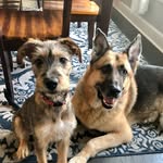 Caesar and Annie Pratt - @caesar.and.annie - Instagram
