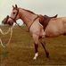Anne Callahan - Facebook