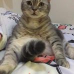 Annie Choy - Facebook