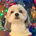 Annie Christopherson - @anniechristopherson - Instagram