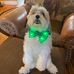 Annie Christopherson - Facebook