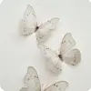 Annie.Christofferson - @annie.christofferson - TikTok