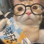 Anne Estrevencion - @anniechu.i - Instagram