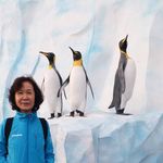 Annie Chui - @annie.chui.9028 - Instagram