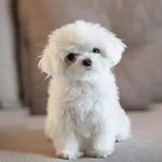 Annie Chui - @an.c_391_ - Instagram