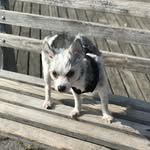 Annie Chun - @anniewhale - Instagram