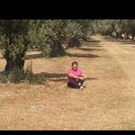 Anna Cicale - @euniceannie66 - Instagram