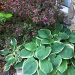Anne Clapp - @annesnothere - Instagram