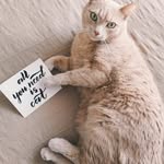 Annie T. Clapp - @anniet.clapp - Instagram