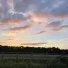 annie - @annie_cleary - TikTok