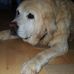 Annie Clements - Facebook