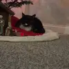 🎄❄️☃️Annie.M☃️❄️🎄 - @anniemccloud7 - TikTok