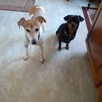 Anne Clouse - Facebook