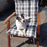 Anne Coates - @cornerbararbroath - Instagram