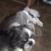 Annie Coates - Facebook