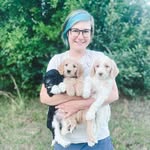 annie cockerill - @packstreetpupsgoldendoodles - Instagram