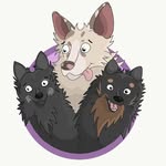 Annie & Jessi & Coffee - @the_fox_dogs - Instagram