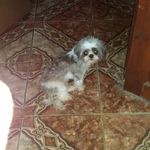Annie Collazo - @annie.collazo.581 - Instagram
