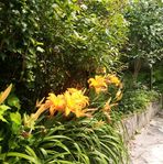Annie Colson - Facebook