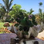 Annie Combes - @anycombes - Instagram