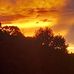 Annie Combes - Facebook