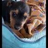 Annie🤩🍩 - @annie.comiskeyyyy - TikTok