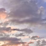 Annie Comiskey - @comiskey887 - Instagram
