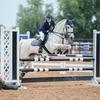 Annie_Connell15 - @annie_connell15 - TikTok