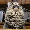 user6471710011047 - @annieconradfl - TikTok