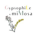 Anne Constant - Artisane Fleuriste - Bordeaux & Rive Droite - @gypsophile_mimosa - Instagram