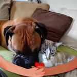 Annie Constant - @bonnetannie26250 - Instagram