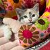 Annie Cormier - Facebook