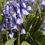 Anne Cottrell - @annecottrl - Instagram