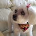 Annie Crist - Facebook