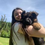 Annie Cummins 💐 - @anniecummins_ - Instagram