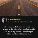 Annie DeWitt - @dewittannie59 - Instagram