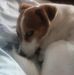Anne Dow - Facebook