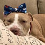 Anne Driscoll - @rufftimes20 - Instagram