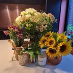 Annie Dunning - @anniedunning5 - Instagram