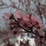 Annie Dupuis - @dupuis_annie - Instagram