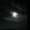 annie_dutton - @annie_dutton - TikTok