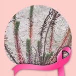 Annie Duval - @duval8006 - Instagram