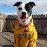 Annie + Dwight - @annieplusdwight - Instagram