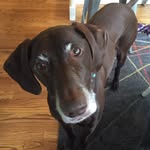 Anne Louise Eades - @annelouiseeades - Instagram
