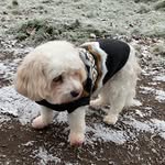 Annie - @annie.eady - Instagram